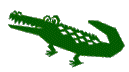 alligator