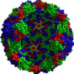 Image of a virus